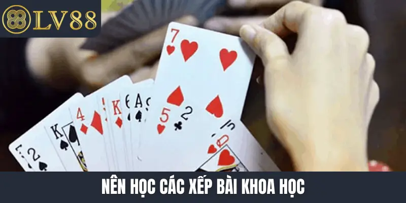 Nên học các xếp bài khoa học